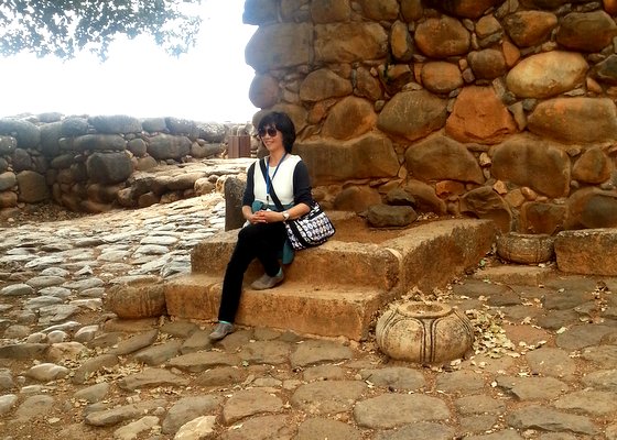 כניסה לעיר דן , מוקפת חומה מאבני בזלת