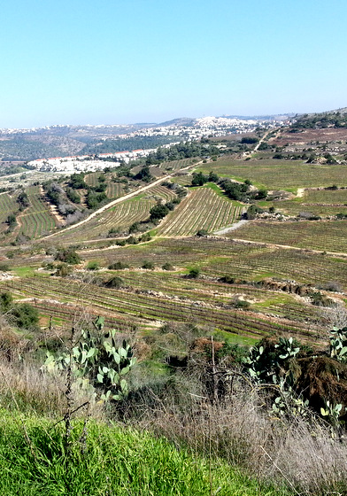 כיף בישאל