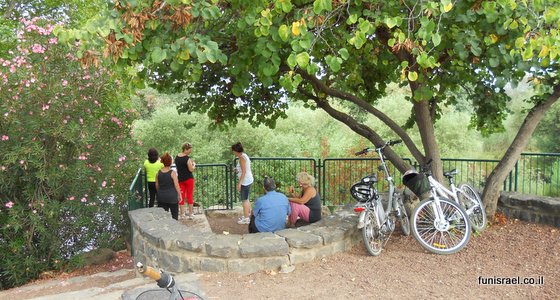 נקודת תצפית אל אשד הירדן בטיילת הירדן - שביל עמי