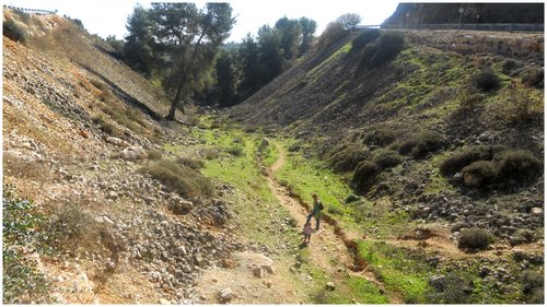 תחילת הטיול בנחל אביב היפה