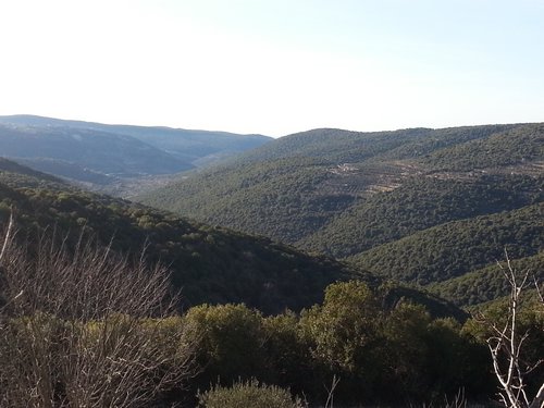 שיפולי הרים ירוקים מכל עבר