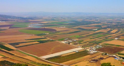 מרחבים אין סופיים שפע פרי האדמה