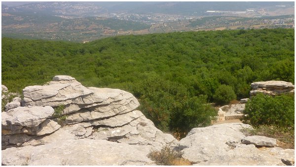 לקפץ מאבן לאבן, לגלות את הצורות