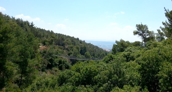 הגשרים התלויים בפארק נשר חוויה לכל גיל