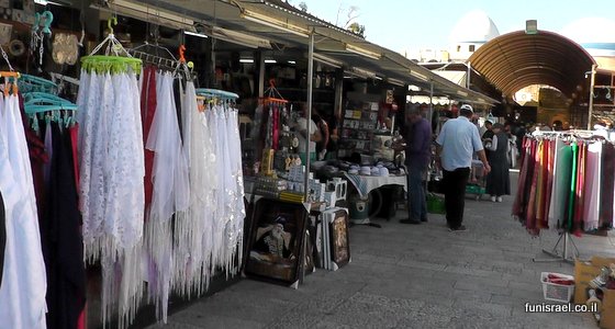 בכניסה למתחם המולת חיים, משפחות יושבות ואוכלות, מוזיקה של טפילות יפות, חדווה ושמחת החיים