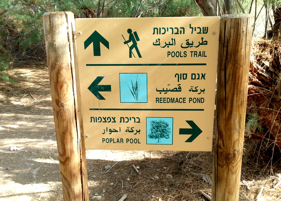 כיף בישראל